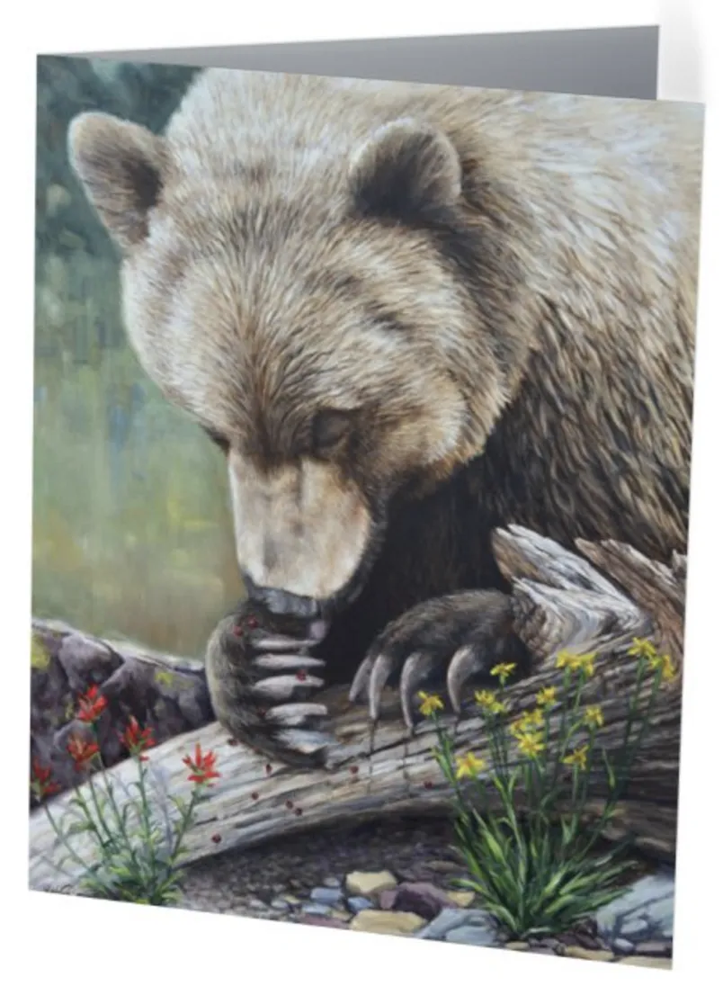 Bear of Montana Note Cards