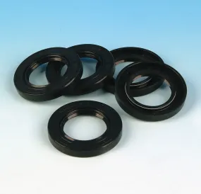 JGI-12052-F - OIL SEAL, INNDER CHAIN COVER